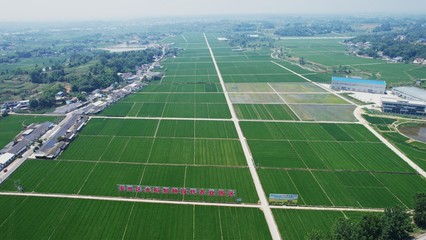 四川省現(xiàn)代種業(yè)發(fā)展集團揭牌成立